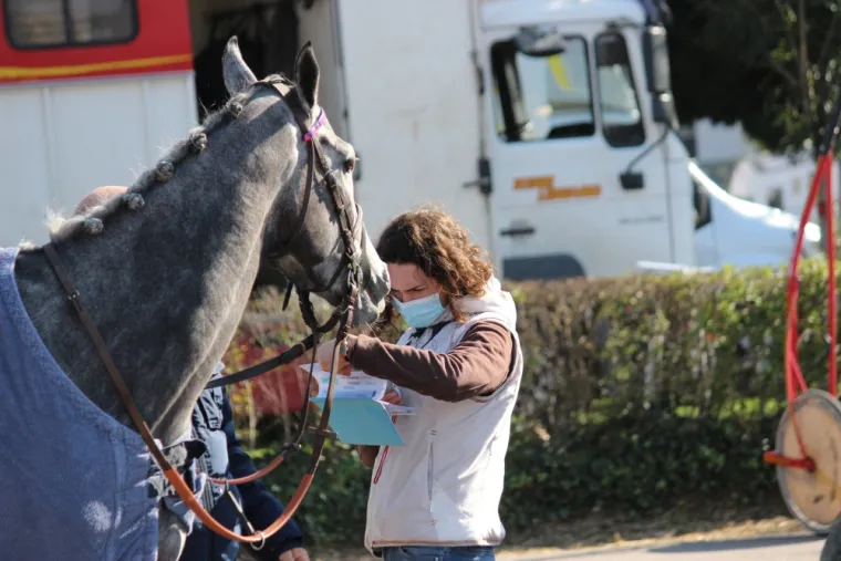 Qui est votre vétérinaire équin ?, Amiens, GALOP & TROT VETO