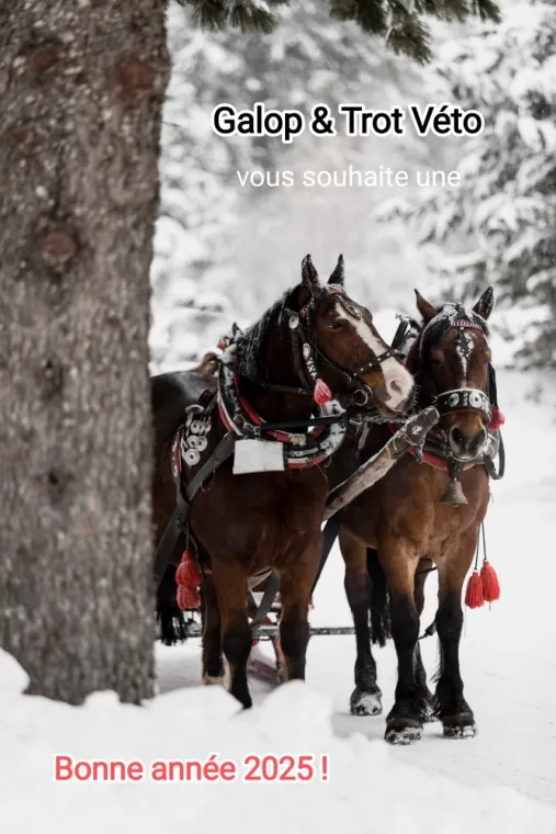 Bonne année 2025 ! , Amiens, GALOP & TROT VETO