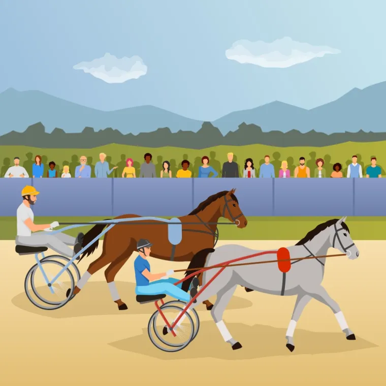 Vétérinaire équin à l'Hippodrome lors des qualifications, Amiens, GALOP & TROT VETO